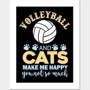 Volleyball Posters and Art